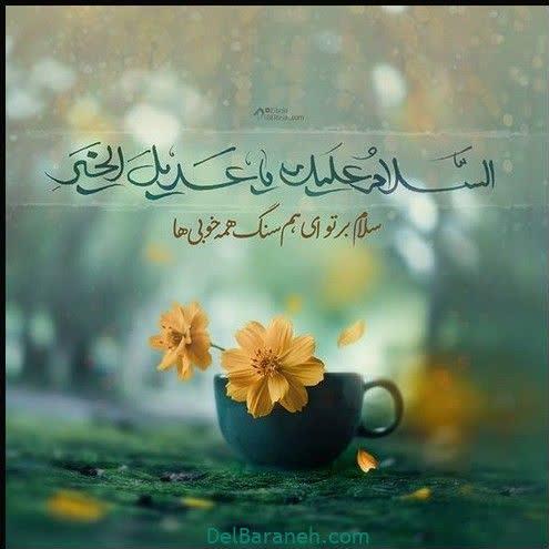 &zwnj; فکوریفر 